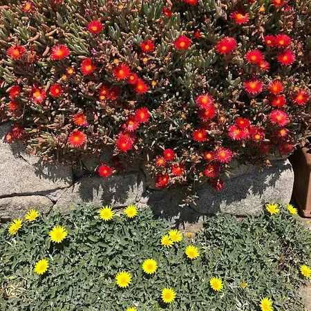 Casadizia Bilocale Giardino + Parcheggio A